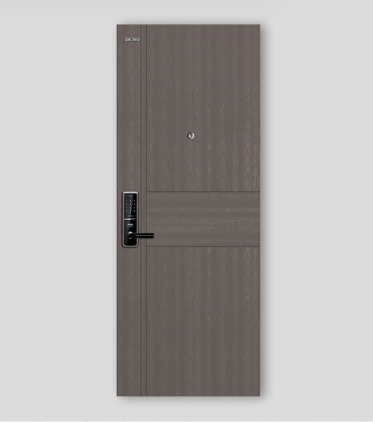 CỬA CĂN HỘ HIỆN ĐẠI GLX-STEEL 219 BH810 | GLX-STEEL-219